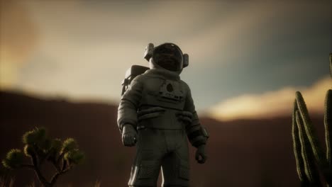 Astronauta-En-El-Alto-Desierto-De-Nevada